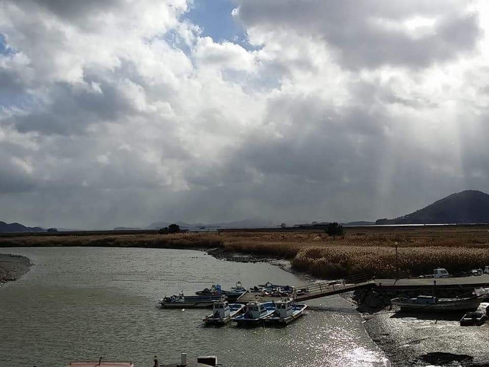 全罗南道顺天湾湿地-- 与大自然最亲近的地方