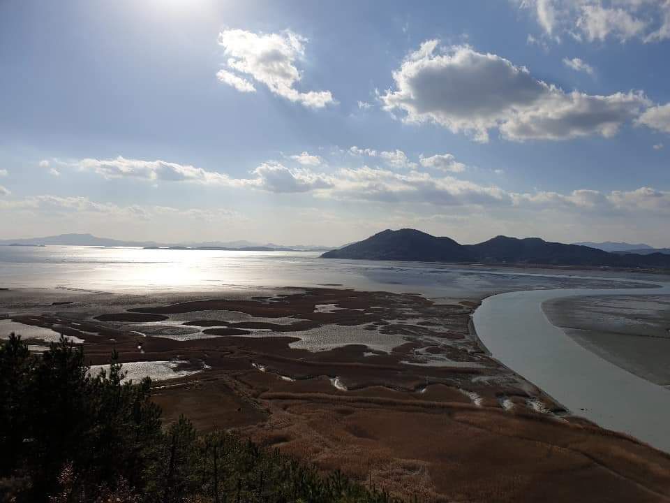 全罗南道顺天湾湿地-- 与大自然最亲近的地方