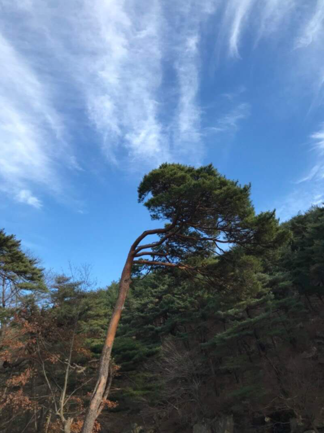 梁山通度寺秋季美景欣赏