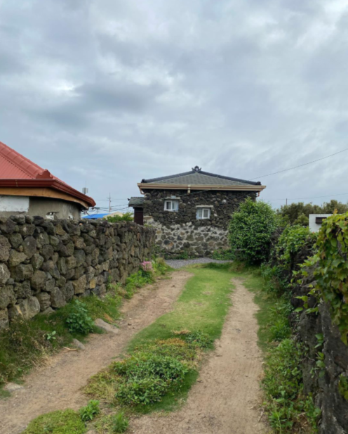 济州岛民宿的闲适清晨