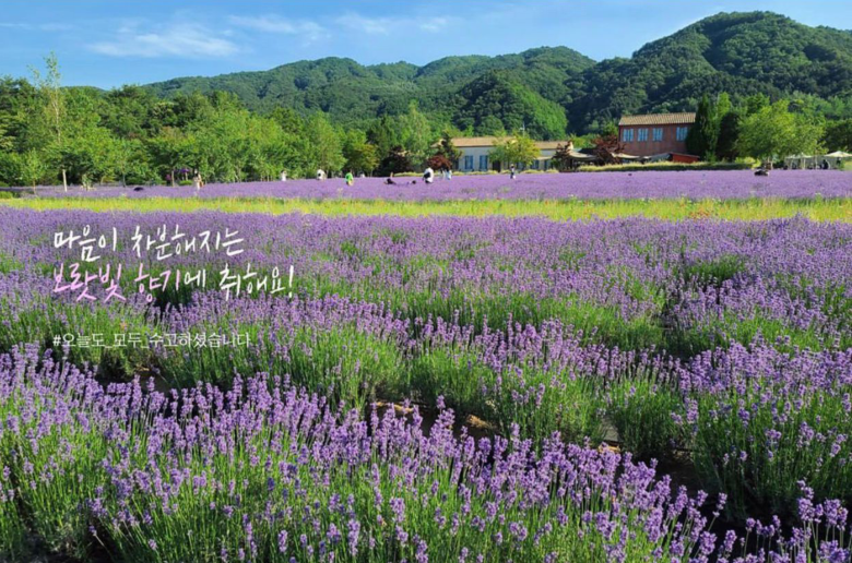 江原道旌善郡夏季美景