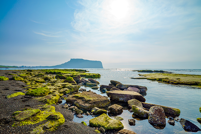 济州岛     