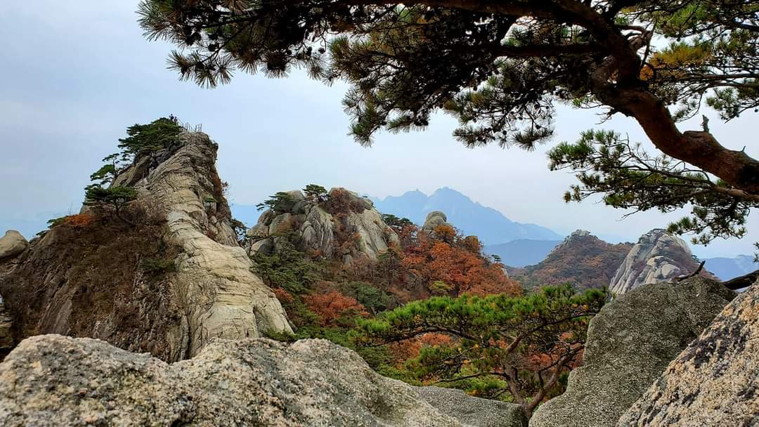 首尔道峰山秋季枫叶