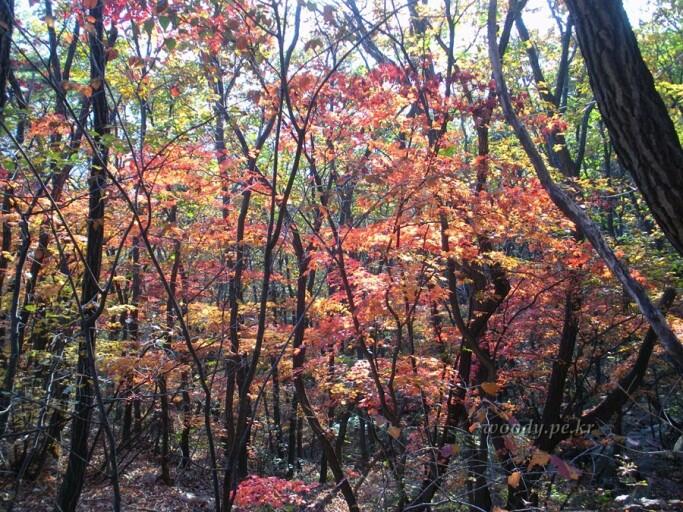 首尔道峰山秋季枫叶