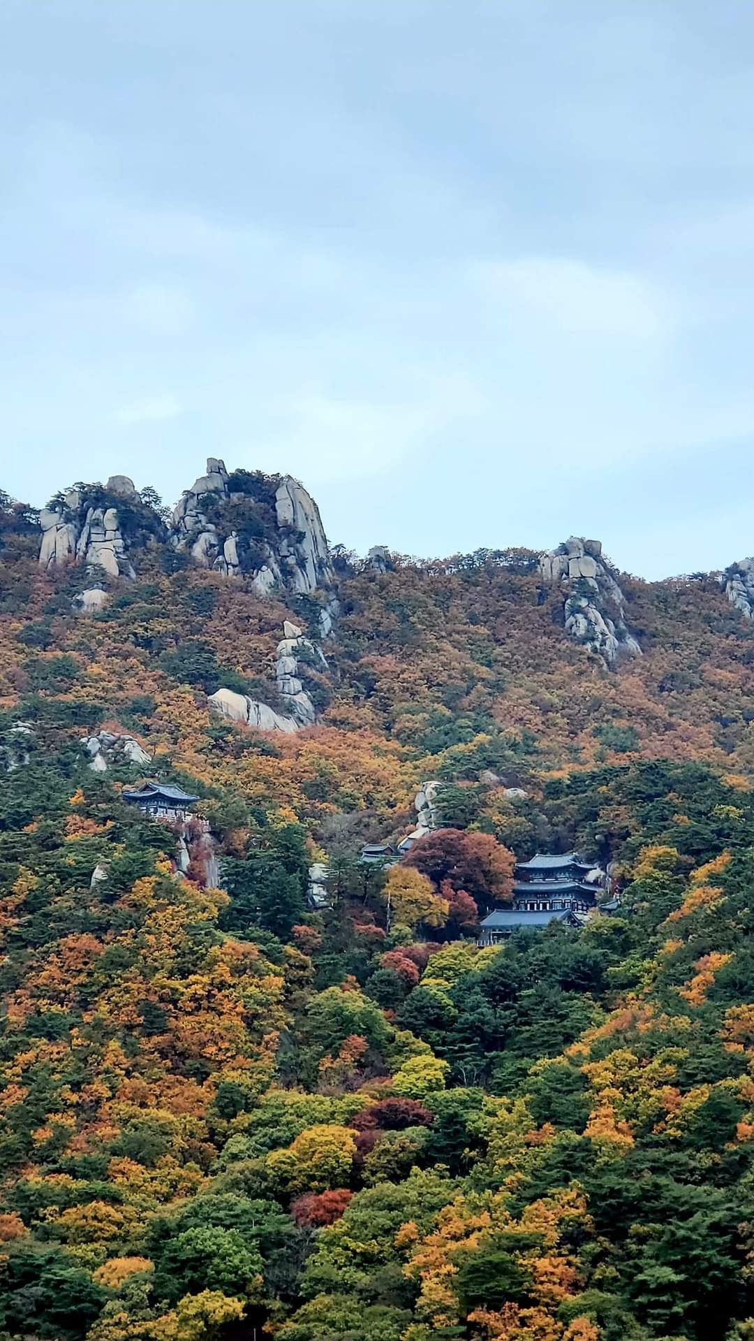 首尔道峰山秋季枫叶