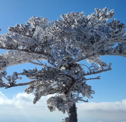 德裕山香积峰