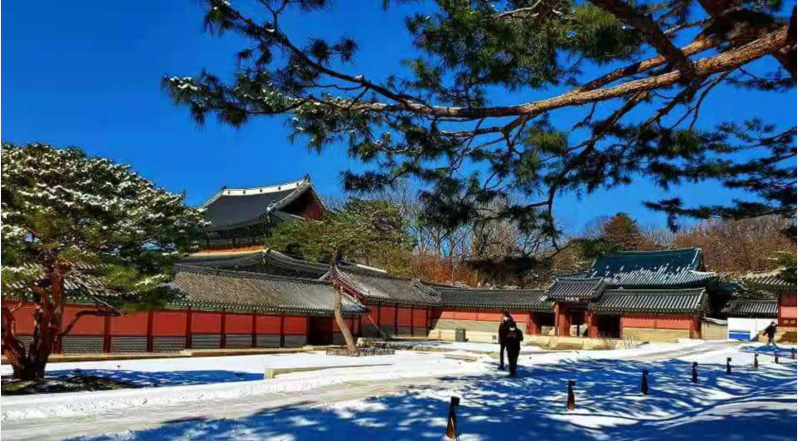 首尔冬季景福宫雪景