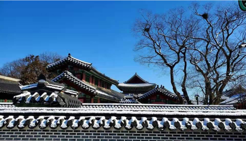 首尔冬季景福宫雪景