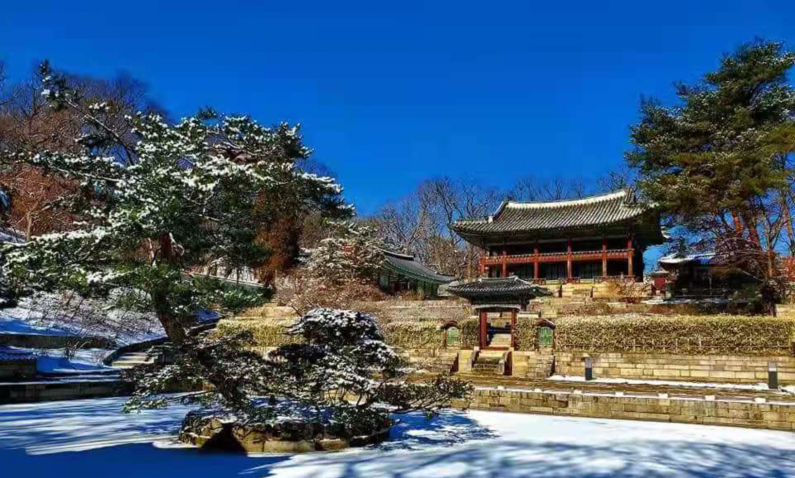 首尔冬季景福宫雪景