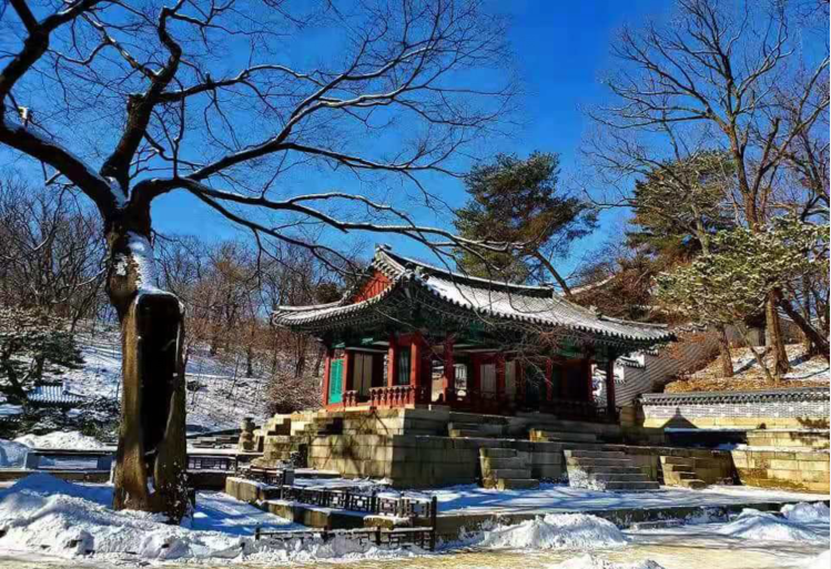 首尔冬季景福宫雪景