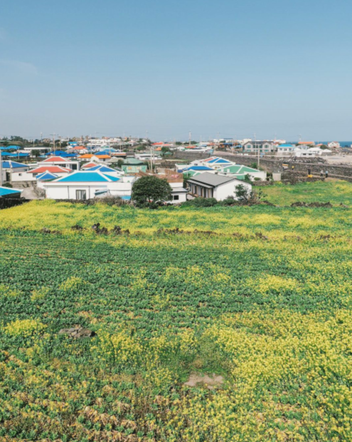 济州岛别芳镇