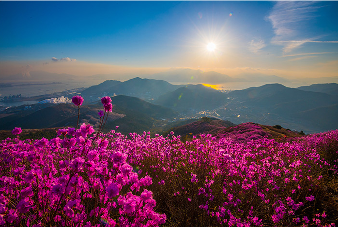 韩国春季旅游