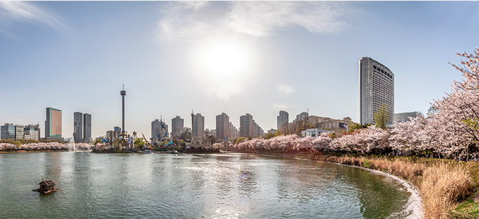 韩国春季旅游